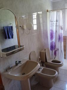 a bathroom with a sink and a toilet and a mirror at Mar de flores in Vega de San Mateo