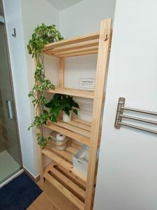 a wooden shelf with potted plants in a hallway at San Benito 16 in Las Lagunas