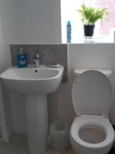 a bathroom with a white toilet and a sink at Our Guests in Rushden