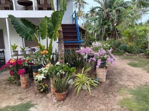 Zahrada ubytování Bayay ni Nanay Bed & Breakfast in Magpupungko Beach Road