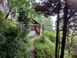 a house in the woods with a path leading to it at Cardamom Blues in Aritar