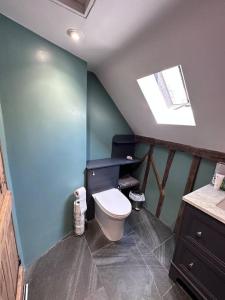 a bathroom with a toilet and a blue wall at Beautiful 2 bed Oast - 15 acre farm - Tunbridge Wells in Royal Tunbridge Wells