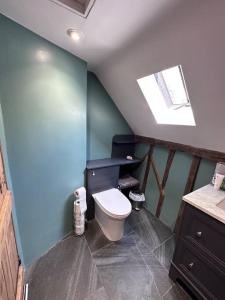 a bathroom with a toilet and a blue wall at Beautiful 2 bed Oast - 15 acre farm - Tunbridge Wells in Royal Tunbridge Wells +17 photos
