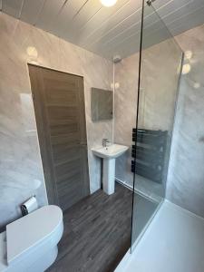 La salle de bains est pourvue d'une douche, de toilettes et d'un lavabo. dans l'établissement The great escape, à Skerries