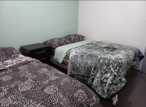 パパモアにあるPapamoa Budget Accommodationのギャラリーの写真 +8枚の写真