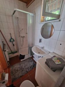 y baño con ducha, aseo y lavamanos. en Tiemann, en Preußisch Oldendorf