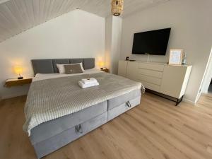 a bedroom with a bed and a flat screen tv at Charmantes Apartment mit Balkon in Mindelheim