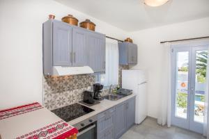 Kuchyň nebo kuchyňský kout v ubytování Amphitrite Apartments Skyros