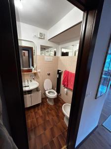 ein Bad mit einem WC und einem Waschbecken in der Unterkunft [Campiglio] Appartamento Cristallo in Madonna di Campiglio