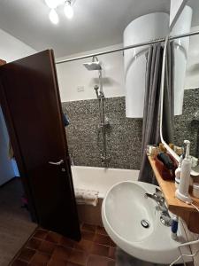 ein Bad mit einem Waschbecken und einer Dusche in der Unterkunft [Campiglio] Appartamento Cristallo in Madonna di Campiglio