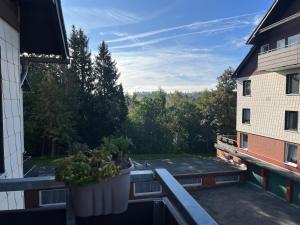 Zahrada ubytování Harznest 2