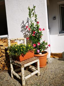 Zahrada ubytování Ferienwohnung Lieblingszeit