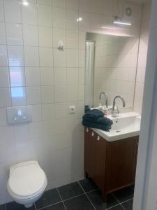 a bathroom with a toilet and a sink at Het molenhuisje in Winsum