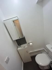 a bathroom with a toilet and a sink and a mirror at Practical and Spacious Property in Stoke on Trent
