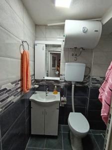 a bathroom with a toilet and a sink and a mirror at Vila Vasilisa in Prijepolje