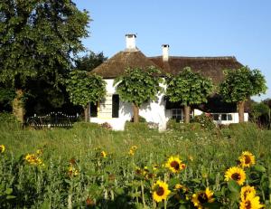 Waerdenhoeve في Waardenburg: منزل أبيض مع حقل من زهور الشمس