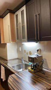a kitchen with a sink and a mixer on a counter at Eda Aparts in Devin +40 photos
