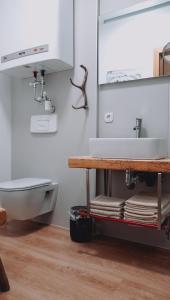 a bathroom with a sink and a toilet at Appartement Alpenrauschen in Planneralm
