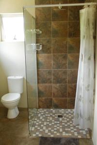 uma casa de banho com um WC e um chuveiro em Comfortable cottage in Big 5 Game Reserve em Dinokeng Game Reserve