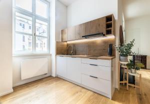 Kuchyňa alebo kuchynka v ubytovaní Elegant apartments located in the centre of Prague