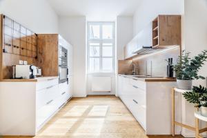 Kuchyňa alebo kuchynka v ubytovaní Elegant apartments located in the centre of Prague
