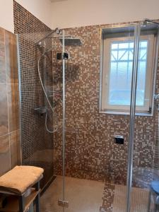 a bathroom with a glass shower with a window at Jugendstil Apartment in Bad Nauheim