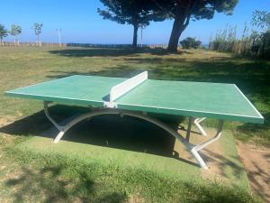 a green ping pong table sitting in a field at Appartement n 79 Moriani plage in Santa-Lucia-di-Moriani