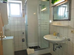 y baño con ducha y lavamanos. en Ludwig Apartment, en Ludwigsburg