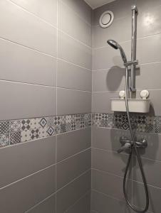 La salle de bains est pourvue d'une douche avec un pommeau de douche. dans l'établissement Studio Rambouillet, Parc & Forêt, à Rambouillet