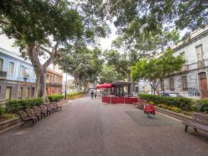 a street with benches and trees in a city at Bright lovely quiet flat very centric in SC in Santa Cruz de Tenerife
