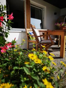 Zahrada ubytování Ferienwohnung Lieblingszeit