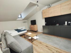 a living room with a couch and a kitchen at Apartamenty na Rynku Tarnów in Tarnów