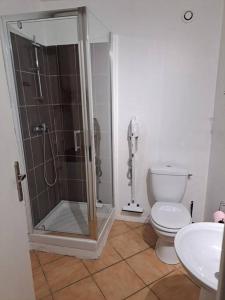 a bathroom with a shower and a toilet and a sink at BudgetBnb 182, studio proche opéra in Toulon