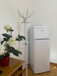 a small white refrigerator next to a table with flowers at CASA ALTOMARE in Otranto