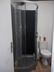 a bathroom with a shower and a toilet at Studio bleu tout équipé avec wifi in Le Creusot