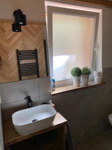 a bathroom with a white sink and a mirror at Leśna Kryjówka domki w lesie in Wersk