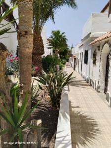 una strada con palme e un edificio di 2 Camere Splendida casa vacanze in Tenerife del Sur Casa Trilly ad Arona