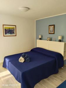sypialnia z niebieskim łóżkiem i niebieskim kocem w obiekcie 2 Camere Splendida casa vacanze in Tenerife del Sur Casa Trilly w Aronie