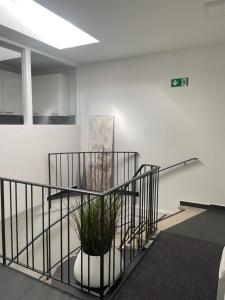 a staircase with a plant in a pot in a room at Hostel Kornwestheim in Kornwestheim