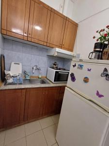a kitchen with a white refrigerator and a sink at APARTMENTS ON THE BEACH in Velika
