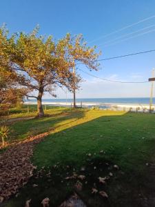 a park with a tree and the ocean in the background at APARTMENTS ON THE BEACH in Velika