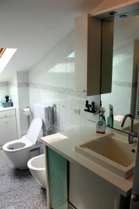 La salle de bains est pourvue de toilettes blanches et d'un lavabo. dans l'établissement Fior di Loto Apartment, à Villar Focchiardo
