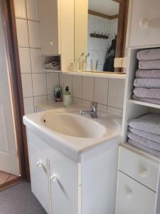 een badkamer met een witte wastafel en handdoeken bij De Blauwe Reiger mooi dubbel chalet in de Veluwse bossen in Putten