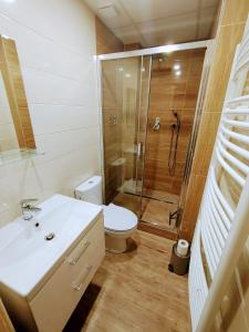 a bathroom with a shower and a toilet and a sink at Apartman Coral in Prague