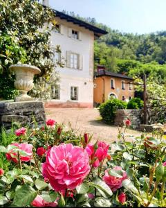 un giardino con fiori rosa di fronte a un edificio di Agritur Cantina Romanese a Levico Terme