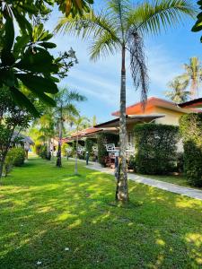 a palm tree in front of a house at Koh Yao Modern Inn -SHA Plus in Ko Yao Yai