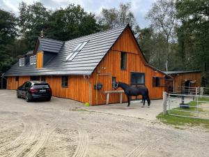 een paard dat voor een schuur staat bij Steffens Hof in Worpswede
