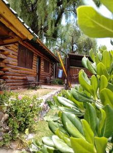 una cabaña de madera con un banco delante en Cabañas Pacari Tampu en Mendoza