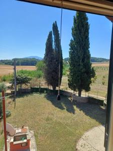 a view from a window of a yard with trees at Campo del Gatto in Viterbo