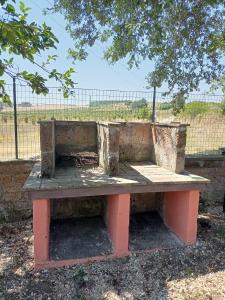una panchina di cemento seduta di fronte a una recinzione di Campo del Gatto a Viterbo